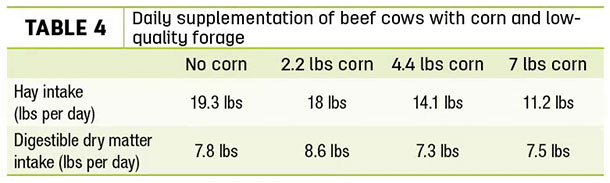 Daily supplementation of beef cows with corn and low-quality forage