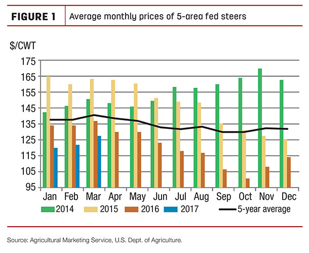 Average monthly prices of 5-area steers