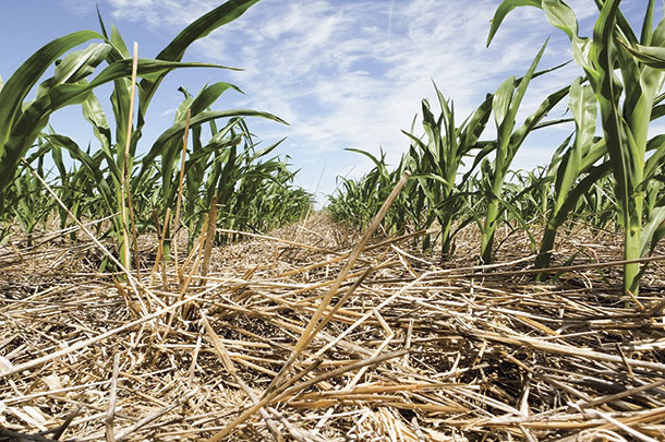Cronins farming operation transitioned to no-till in 1992