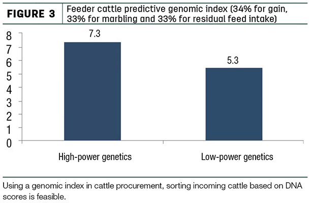 Feeder cattle predictive genomic index