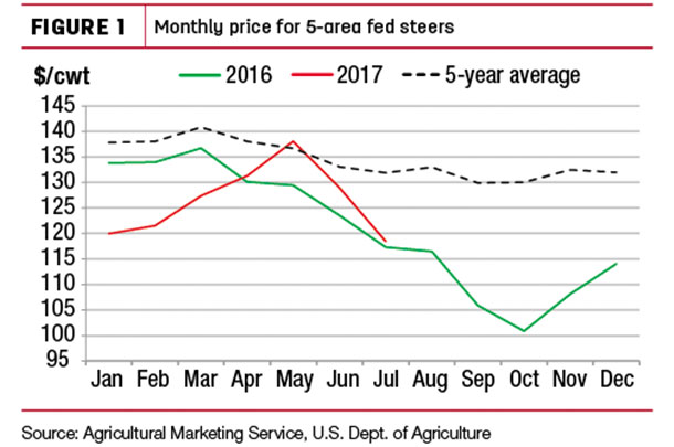 Monthly price for 5-area fed steers