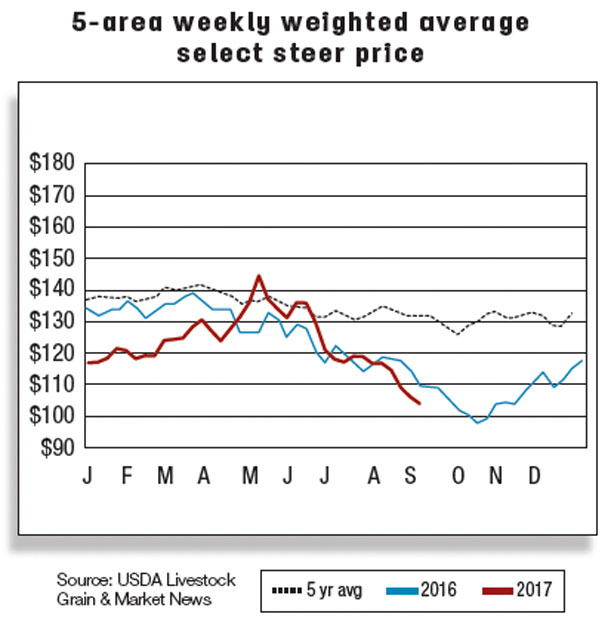 5-area weekly weghted average