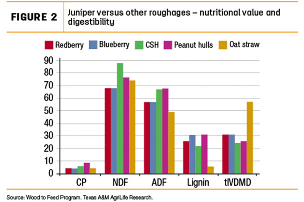 Juniper versus other roughages - nutritional value and digestibility