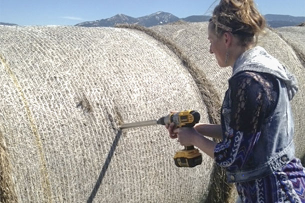 Danielle Staudenmeyer takes a sample from a big round bale