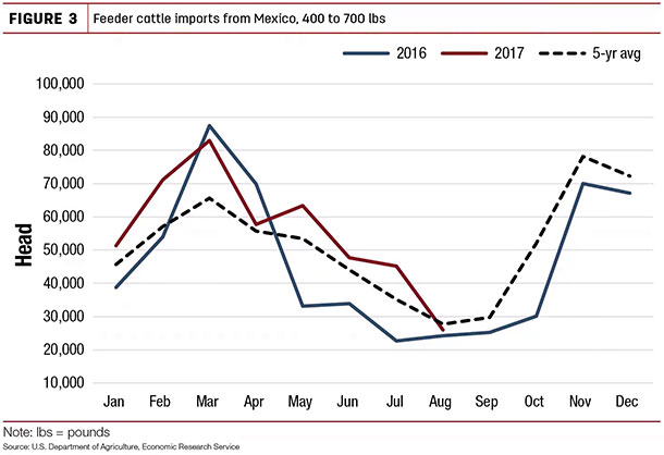 Feeder cattle imports form Mexico
