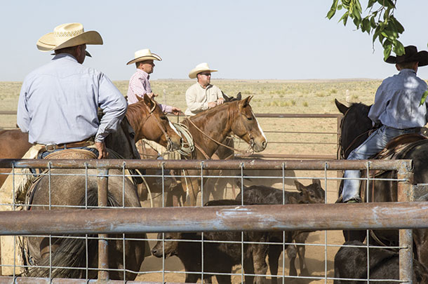 Ranches succeed when people exhibit a strong work ethic