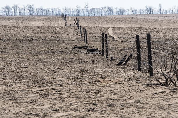 Over 12,000 miles of fencing in Kansas, alone was estimated in need or replacement