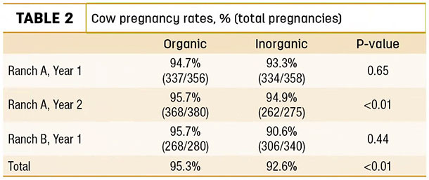 Cow pregnancy rates