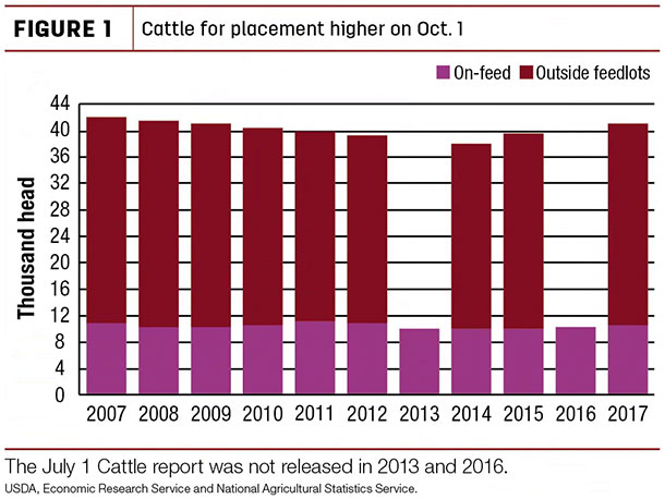 Cattle for placement higher on Oct. 1