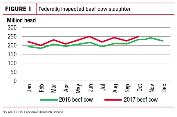 Federally inspected beef cow slaughter