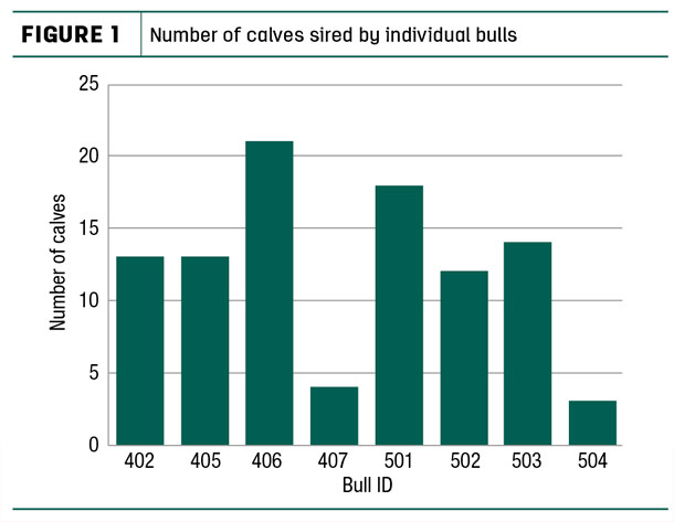 Number of calves sired by individual bulls