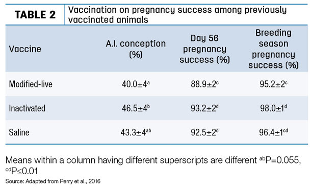 Vaccination on pregnancy success among previously vaccinated animals