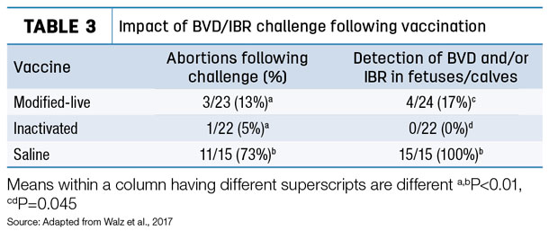 Impact of BVD/IBR challenge following vaccination