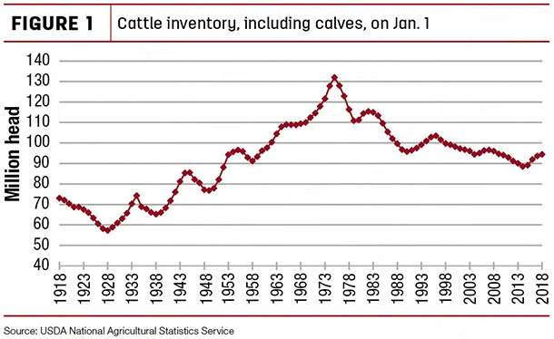 Cattle inventory, including calves on Jan 1