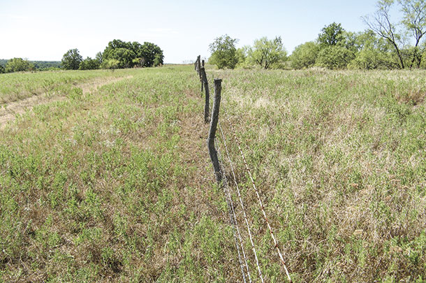 Fencing is a direct way to alter grazing distribution