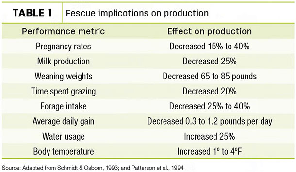 Fescue implications on production