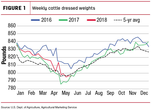 Weekly cattle dressed weights