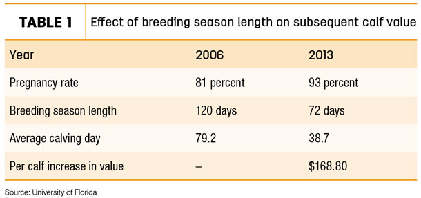 Effect of breeding season length on subsequent calf value