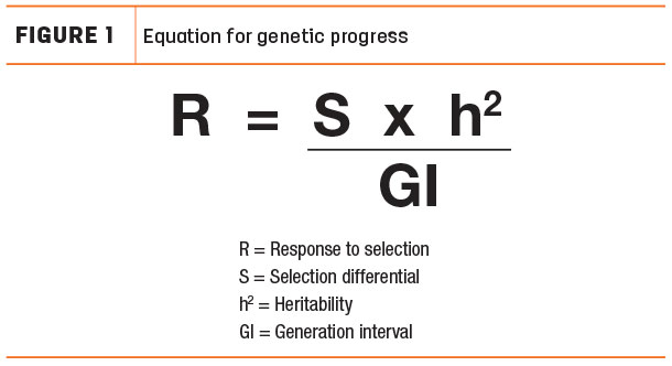 Equation for genetic progress