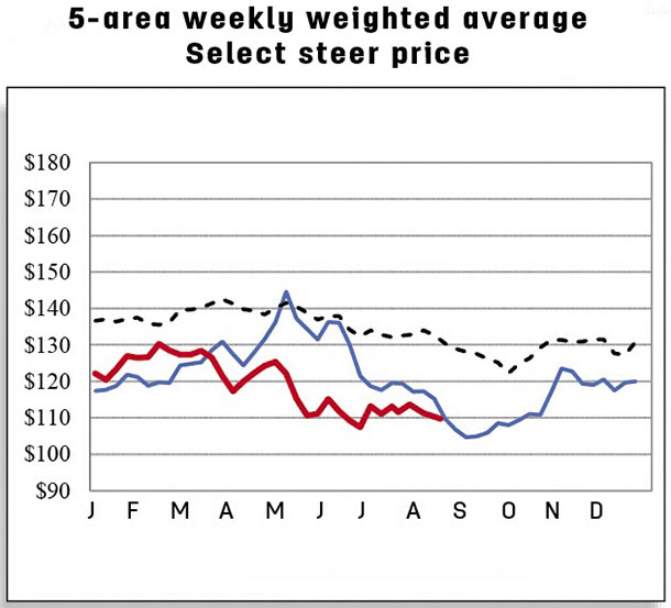 5 area weekly weighted average Select steer price