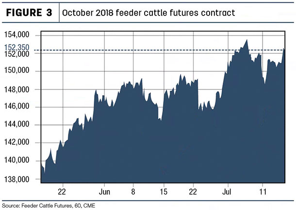 October 2018 feeder cattle futures contract