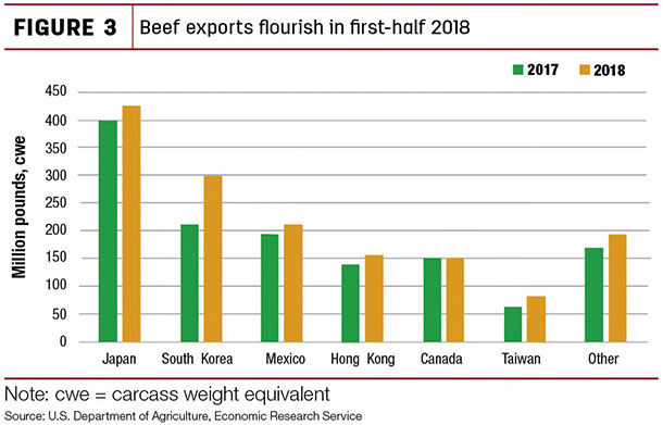 Beef exports flourish in first- half 2018