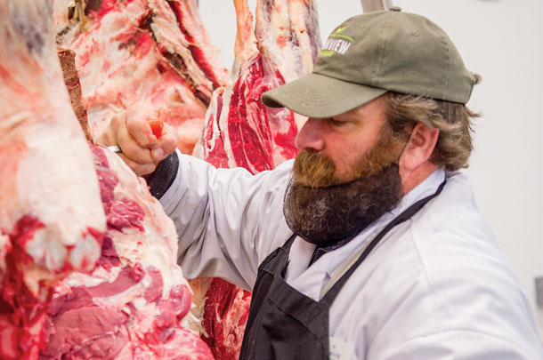 Cattle processed at Farmview's butcher shop