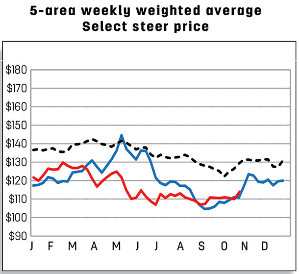 5 area weekly weighted average select steer price