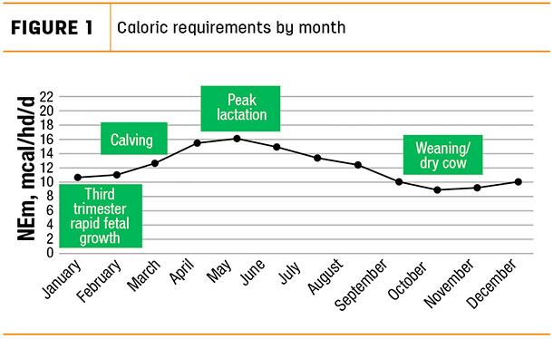 Caloric requirements by month