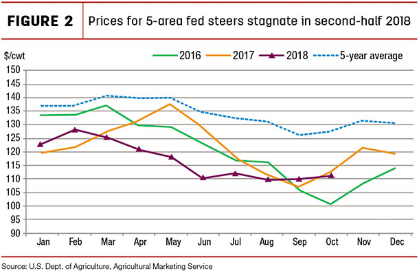 Prices for 5-area fed steers stagnate in second-half 2018