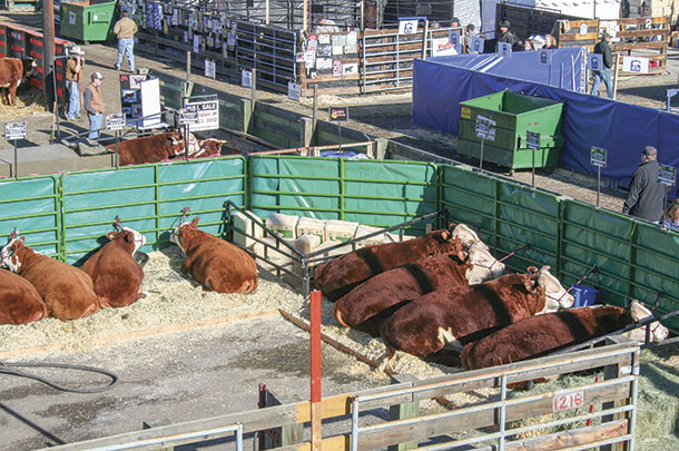 Producer's pen at NWSS