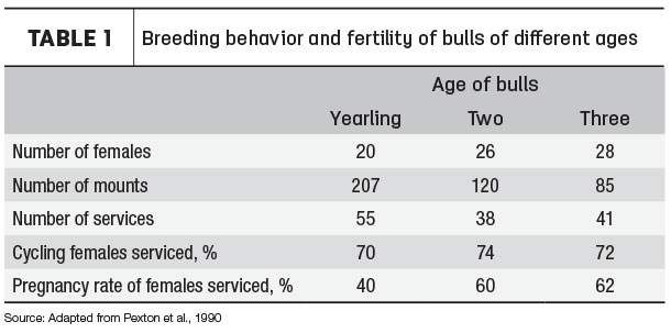 Table 1 Bull age and performance
