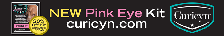 curicyn pink eye kit