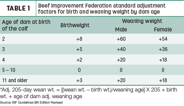 Beef Improvement Fedration standard adjustment factors for birth and weaning weight