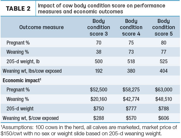 Impact of cow body condition score on performance measures and economic outcomes