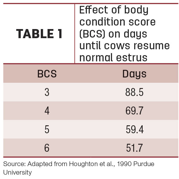 BCS and resuming estrus Table 1