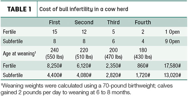 cost of bull infertility in a cow herd