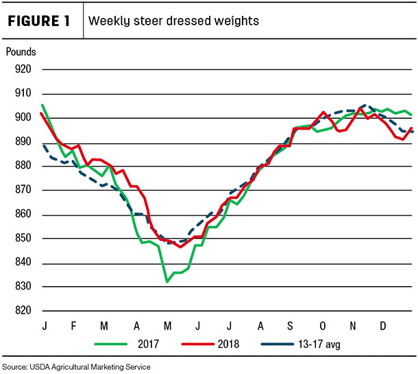 Weekly steer dressed weights