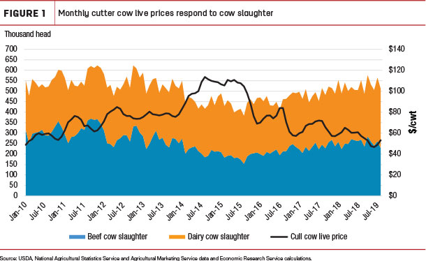 Monthly cutter cow live prices respond to cow staughter