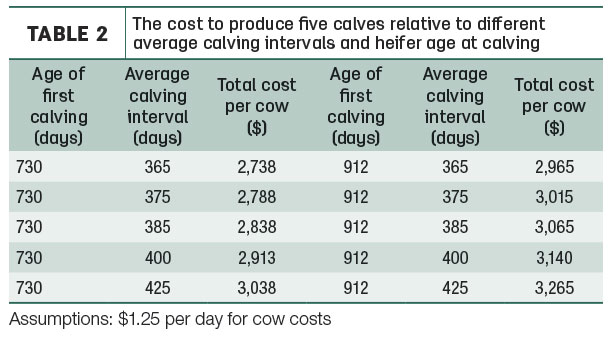 The cost to produce five calves relative to different average calving intervals and heifer age calving