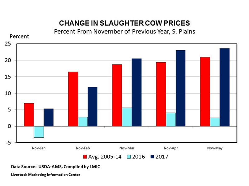 slaughter cow prices