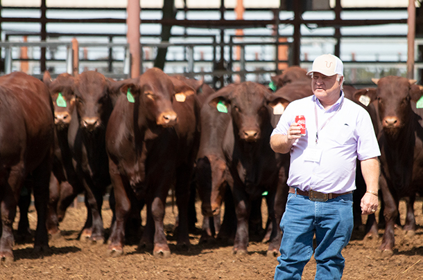 Jerome Urbanosky explains how data and genetics are being used with bulls developed at STgenetics in Navasota, Texas