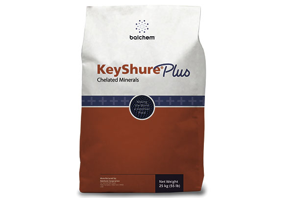 KeyShure Plus