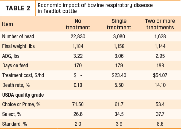 Econimic impact of bovine respiratory disease in feedlot cattle