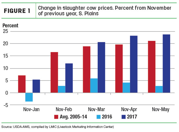 cull cow prices
