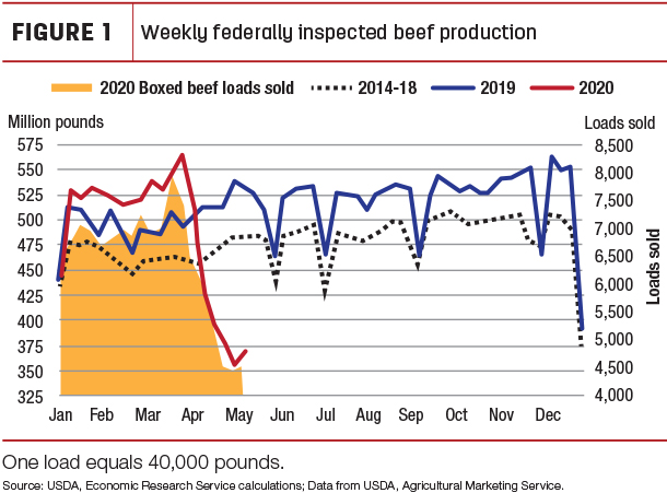 Weekly federally inspected beef production