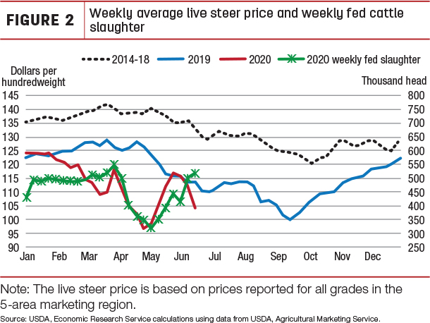 Weekly averge live steer price and weekly fed cattle slaughter