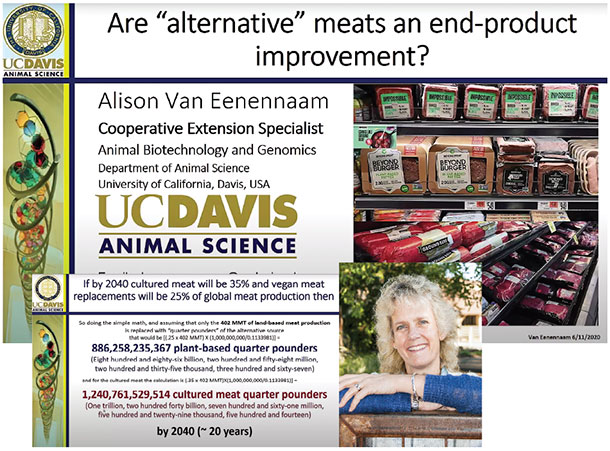 Are "alternative" meats an end-product improvement?
