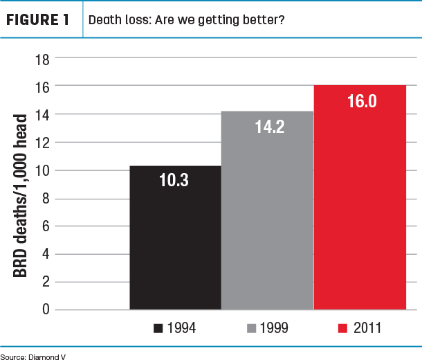 Death loss: Are we getting better?
