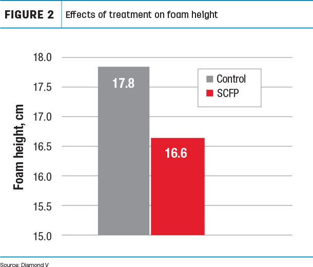 Effects of treatment on foam height